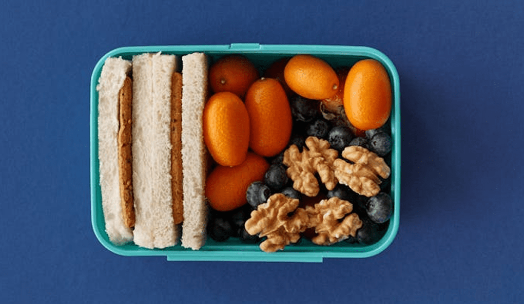 Lunchbox with sandwiches, kumquats, walnuts, blueberries.